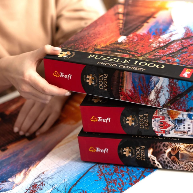 Puzzle Trefl Premium Plus Quality Photo Odyssey: Miasteczko Riomaggiore Włochy 1000 elementów (5900511108552) - obraz 4