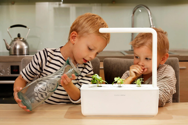 Змінний картридж Click&Grow Smart Garden Refill 3 упаковки з тайським базиліком (4742793007533) - зображення 6