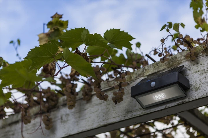 Kinkiet solarny z czujnikiem Lutec Arrow LED 2.3W 5000K 180lm IP44 (6939412046402) - obraz 6
