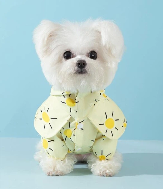 Дождевик для собак Hipidog YSunny M с капюшоном и принтом, Желтый (HPDYSN11) - Фото 2 Дождевик для собак Hipidog YSunny M с капюшоном и принтом, Желтый (HPDYSN11) - изображение 2