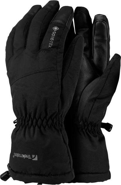 Рукавиці-рукавички з Gore-Tex Trekmates Chamonix GTX Glove XL TM-004818 Black - зображення 1