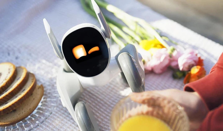 Loona The PETBOT & アクセサリーセット Loona The PETBOT & アクセサリーセット 【公式通販】