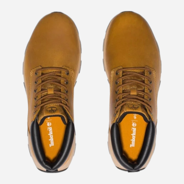 Чоловічі черевики Timberland Winsor Park TB0A5Y7H2311 41.5 (8US) 26 см Жовті (196011879916) - зображення 4