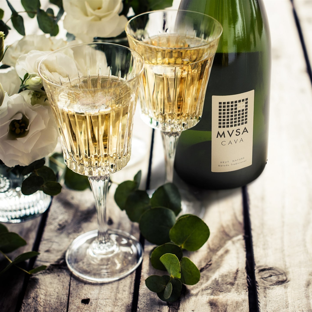 Вино ігристе MVSA Cava DO brut Vallformosa біле cухе 0.75 л 11.5% (8413216151138) - зображення 7