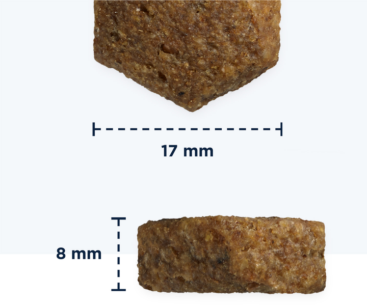 Сухий корм для собак Eukanuba Senior Lamb & Rice Bag 12 кг (8710255168937) - зображення 3