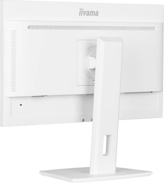 Monitor 23.8" Iiyama ProLite XUB2497HSN-W1 - obraz 6