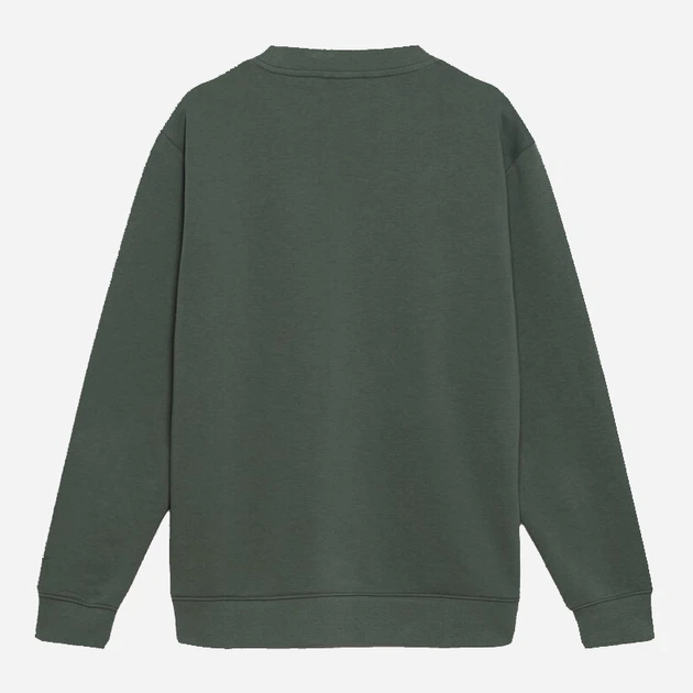 Світшот чоловічий Sprandi AW21-BLM009 M Зелений (5903698954899) - зображення 9