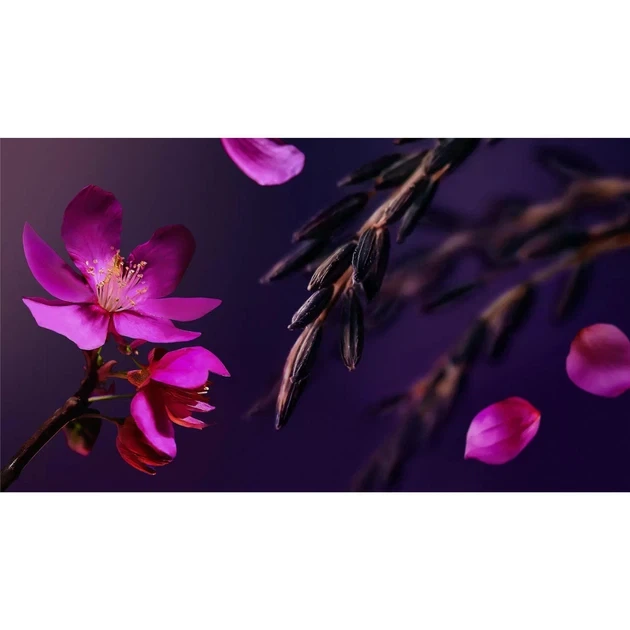 Молочко для ванної THE RITUAL OF YOZAKURA RITUALS, 500 мл - зображення 2