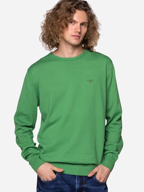 Джемпер чоловічий Lee Cooper ANDY-ORGANIC L Зелений (5904347387570) - зображення 3