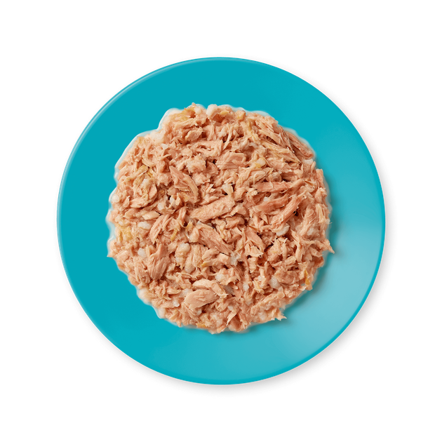 Консервы для котов Applaws Tuna Fillet in Broth с тунцом 70г - изображение 2