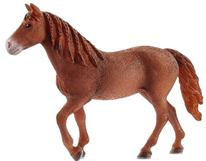 Figurka do gry Schleich Klacz rasy Morgan 10 cm (4055744020308) - obraz 1