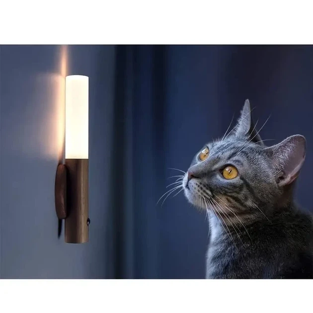 Лампа, светильник LED с датчиком движения и встроенным аккумулятором на 500Mah Induction lamp - Фото 9 Лампа, светильник LED с датчиком движения и встроенным аккумулятором на 500Mah Induction lamp - изображение 9
