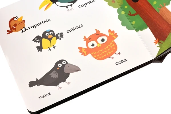 Тварини в лісі - Василь Федієнко - изображение 5