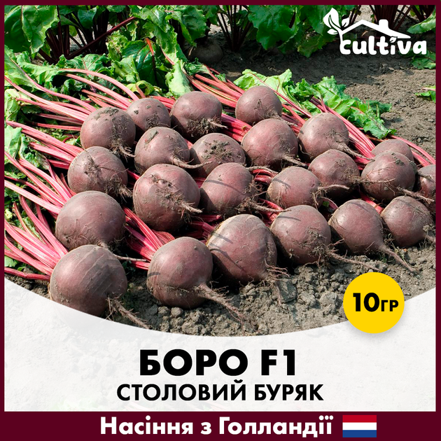 Столовая свекла Bejo Боро F1, 10 гр - Фото 1 Столовая свекла Bejo Боро F1, 10 гр - изображение 1