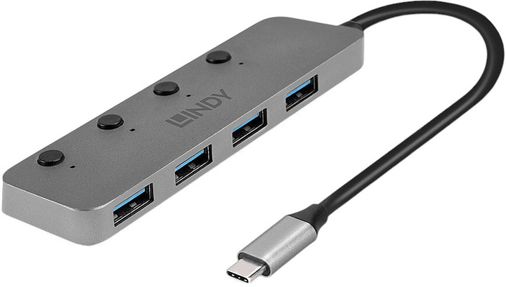 Hub USB Lindy 4 Port USB 3.2 Type C with On/Off switches Grey (43383) - obraz 1