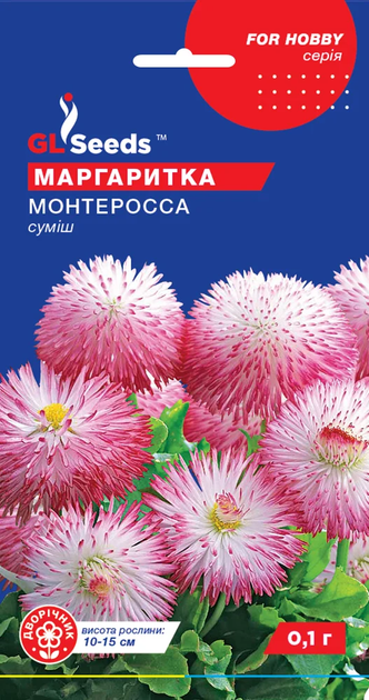 Насіння Стокротка Монтеросса 0,1г GL Seeds - Фото 1 Насіння Стокротка Монтеросса 0,1г GL Seeds - зображення 1