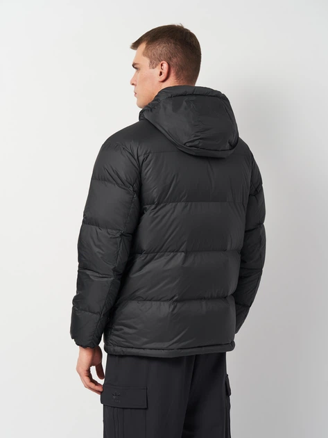Пуховик зимний мужской Adidas Terrex Mt Goose Jkt IX7927 S Black