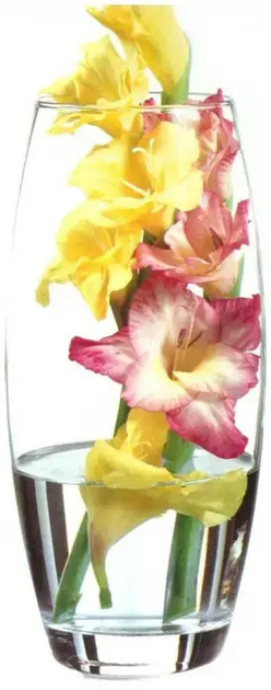 Wazon Pasabahce Botanica 26 cm (8693357052581) - obraz 3