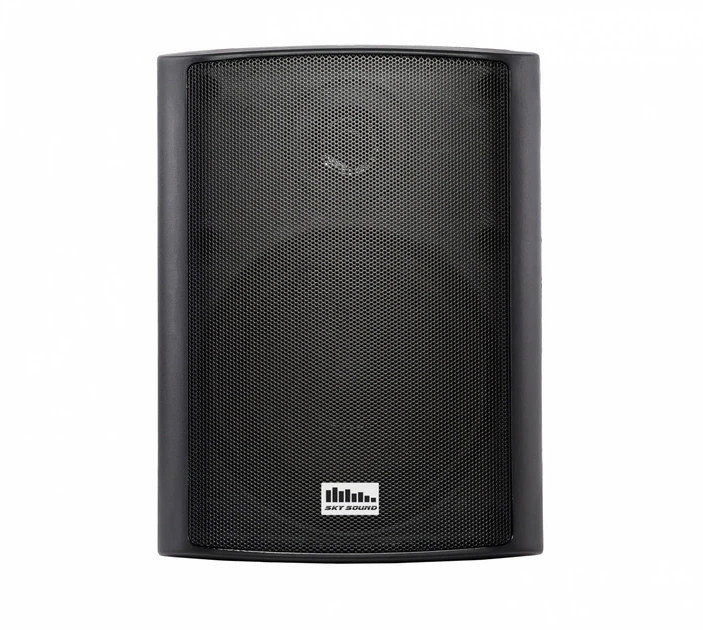 Активная настенная акустика SKY SOUND NSA-30B ACTIVE+WI-FI - Фото 1 Активная настенная акустика SKY SOUND NSA-30B ACTIVE+WI-FI - изображение 1