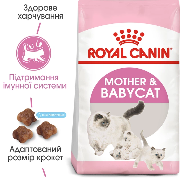 Сухой корм Royal Canin MOTHER & BABYCAT для кошек в период лактации и новорожденных котят 4 кг (3182550707329) - изображение 2