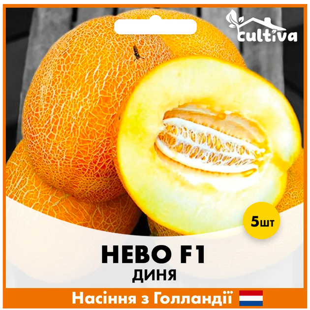 Голландские семена Hazera Дыня Нево F1, 5 шт - изображение 3
