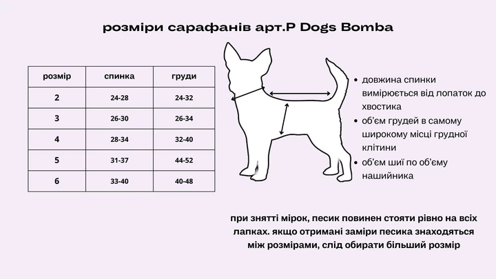 Сарафан платье для собак Dogs Bomba горошок голубой P-45 5р - изображение 3
