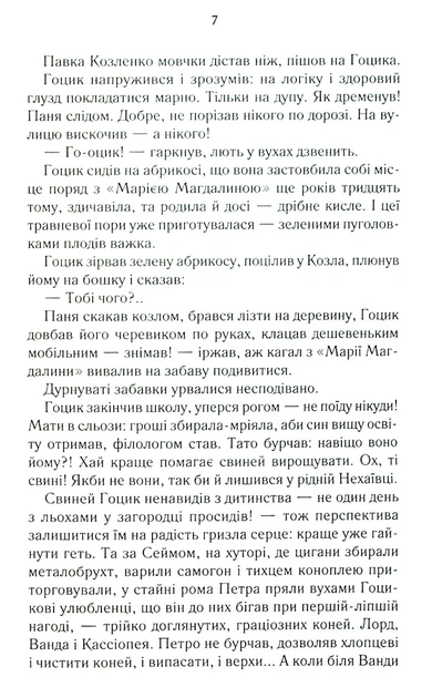Биті є. Книга 3. Гоцик. Люко Дашвар (9786171511057) - зображення 5