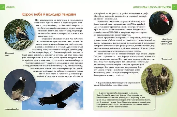 Энциклопедия для любознательных Хищники - изображение 4