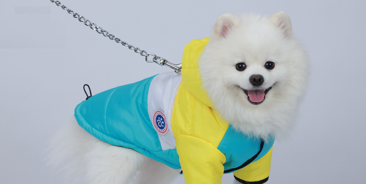 Куртка для собак ветрозащитная влагостойкая Pet Style «Tagoon» Голубая XL - изображение 2