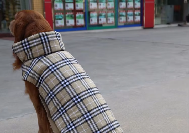 Зимовий водонепроникний двохсторонній жилет в клітинку Derby Plaid Beige в британському стилі, XS Бежевий - зображення 4