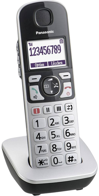 Telefon IP Panasonic VoIP Silver (KX-TGQ500GS) - obraz 1