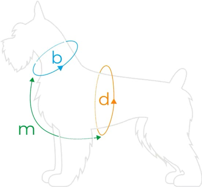 Szelki regulowane dla psa Amiplay Samba Guard M Szare (5907563279094) - obraz 4