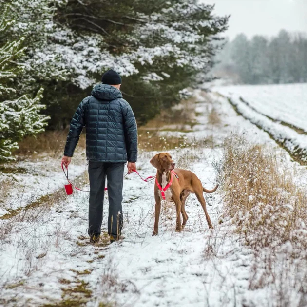 Szelki regulowane dla psa Amiplay Samba Guard M Czerwone (5907563280359) - obraz 8