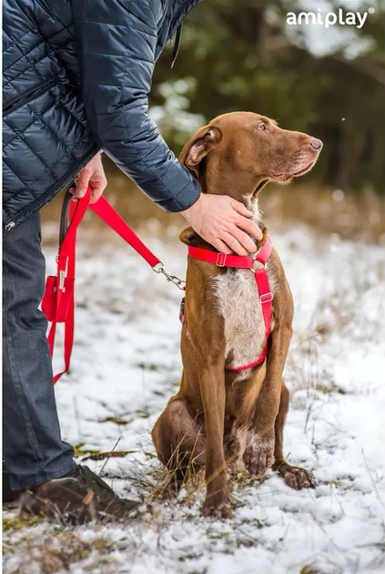 Szelki regulowane dla psa Amiplay Samba Guard L Czerwone (5907563280373) - obraz 8