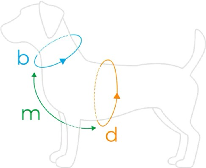 Szelki regulowane dla psa Amiplay Samba Guard S Czarne (5907563280328) - obraz 4