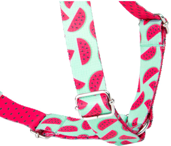 Szelki regulowane dla psa Amiplay BeHappy Guard M Watermelon (5907563282674) - obraz 3