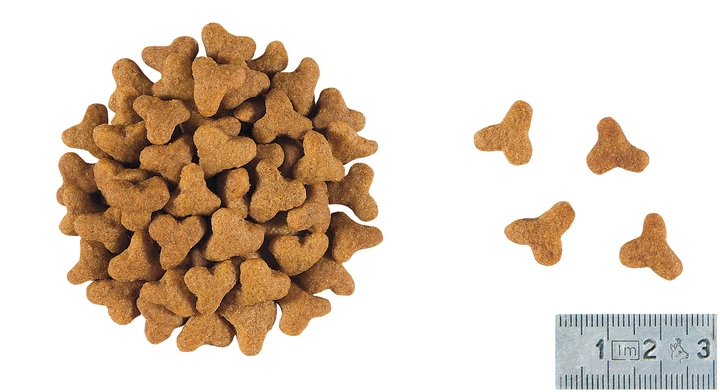 Royal Canin Gastro Intestinal Fibre Response Cat Сухий Корм ​​Для Котів При Розладах Травлення 2 кг (3182550771337) (400702091) - зображення 6