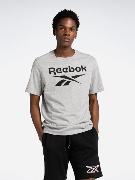 Koszulka męska Reebok Identity Big 100071173 L Szara (4066763454234) - obraz 1