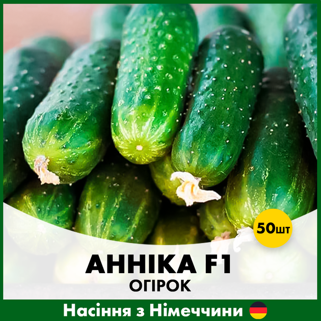 Огурец Satimex Анника F1, 50 шт - Фото 1 Огурец Satimex Анника F1, 50 шт - изображение 1
