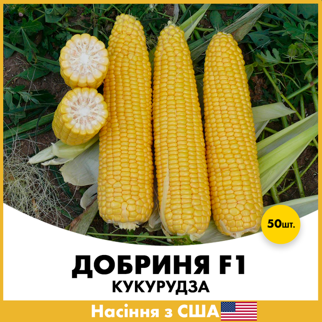 Кукуруза Lark Seeds Добрыня F1, 50 шт - Фото 1 Кукуруза Lark Seeds Добрыня F1, 50 шт - изображение 1