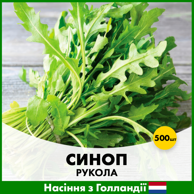 Рукола Rijk Zwaan Синоп, 500 шт - Фото 1 Рукола Rijk Zwaan Синоп, 500 шт - зображення 1