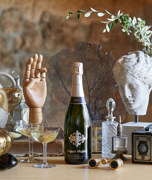 Вино ігристе Segura Viudas Reserva Brut D.O. Cava брют біле 0.75 л 12% (8410428300040) - зображення 5