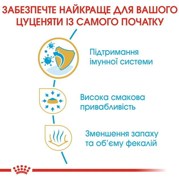Повнораціонний сухий корм Royal Canin Chihuahua Puppy №28 для цуценят породи чихуахуа віком від 2 до 8 місяців, 500 г, 24380051 - Фото 4 Повнораціонний сухий корм Royal Canin Chihuahua Puppy №28 для цуценят породи чихуахуа віком від 2 до 8 місяців, 500 г, 24380051 - изображение 4