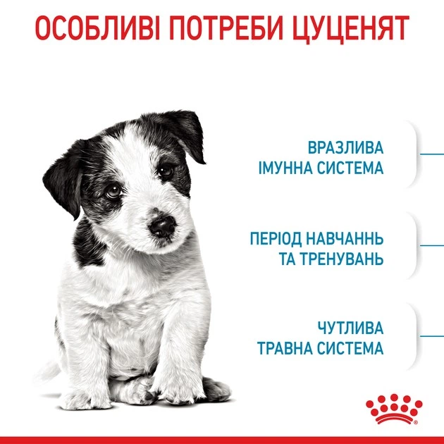 Повнораціонний сухий корм Royal Canin Mini Puppy для цуценят дрібних порід віком від 2 до 10 місяців, 8 кг, 30000801 - изображение 3