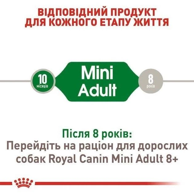 Повнораціонний сухий корм Royal Canin Adult Mini для дорослих собак дрібних порід віком від 10 місяців до 8 років, 800 г, 3001008. - изображение 3