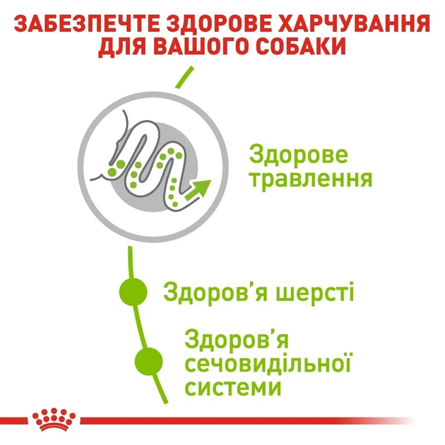 Повнораціонний сухий корм Royal Canin X-Small Adult для дорослих собак мініатюрних порід віком від 10 місяців до 8 років, 1.5 кг, 1003015 - Фото 3 Повнораціонний сухий корм Royal Canin X-Small Adult для дорослих собак мініатюрних порід віком від 10 місяців до 8 років, 1.5 кг, 1003015 - изображение 3
