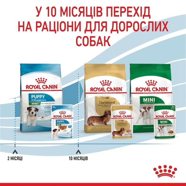 Вологий корм для собак Royal Canin Mini Puppy 85г 10990019 - Фото 5 Вологий корм для собак Royal Canin Mini Puppy 85г 10990019 - зображення 5