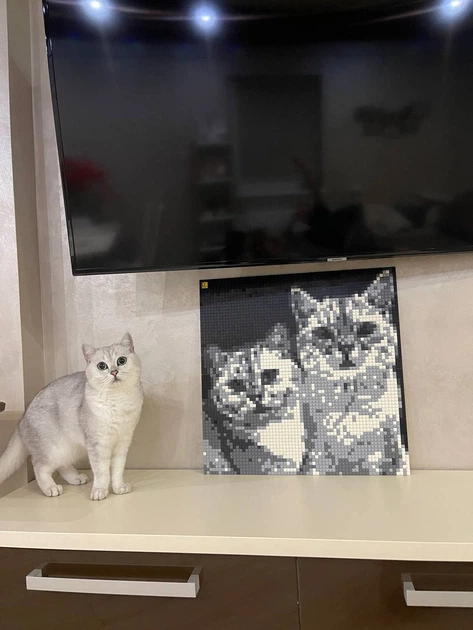 Конструктор По фото Picasso ART Pixel Art Mini (3680540) – іграшки