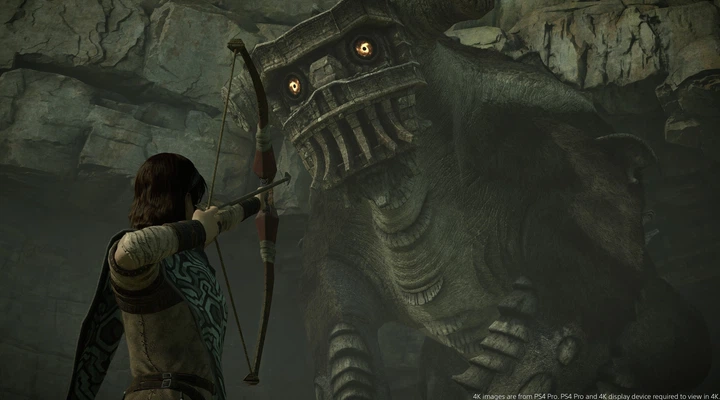 Gra PS4 Shadow of the Colossus (Blu-ray płyta) (0711719353072) - obraz 5