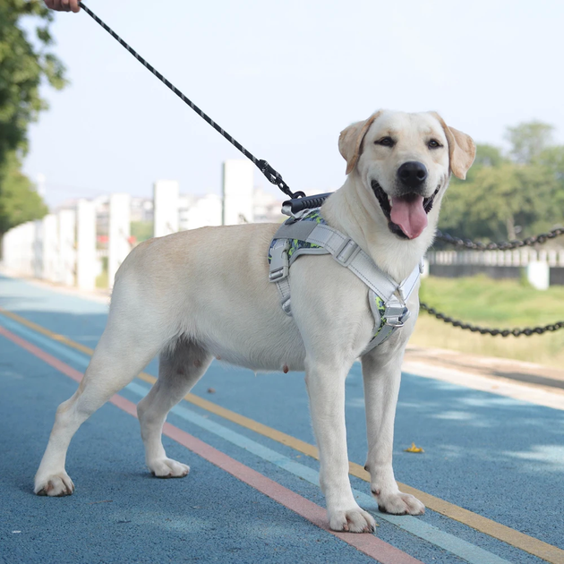 Нагрудная шлея для собак Reflective safety chest harness for pet dogs, XL Розовый - изображение 2